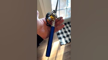 CRAZY PEN FISHING ROD!! #fishing #shorts