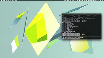 Flutter와 Firebase로 Android iOS 둘 다 만들기 10 REST API 사용해보기