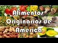 Alimentos Originarios de América - Historia del Maiz, el tomate, el maní y otros alimentos