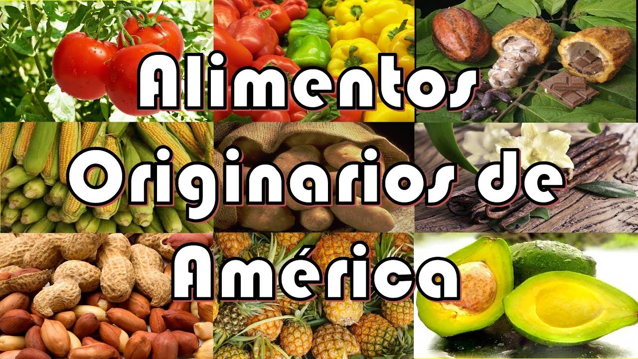 Alimentos Originarios De America Historia Del Maiz El Tomate