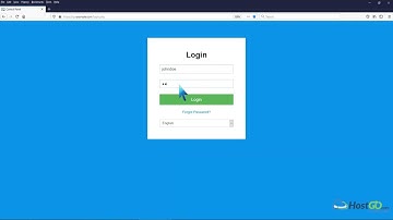 How to Check the RAM of the VPS, the IP, the Disk Capacity, and the Virtualization Details   HostGo