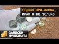 Редкая Шри Ланка, Ирак и не только