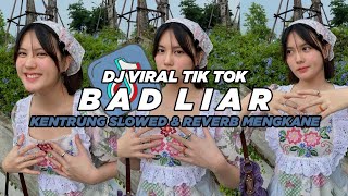 DJ BAD LIAR KENTRUNG (Slowed & Reverb) FULL SONG || DJ VIRAL TIKTOK BY DJ TEBANG YANG KALIAN CARI !!