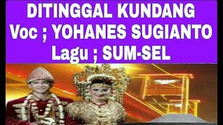 DITINGGAL KUNDANG WITH LIRIK || LAGU SUMSEL