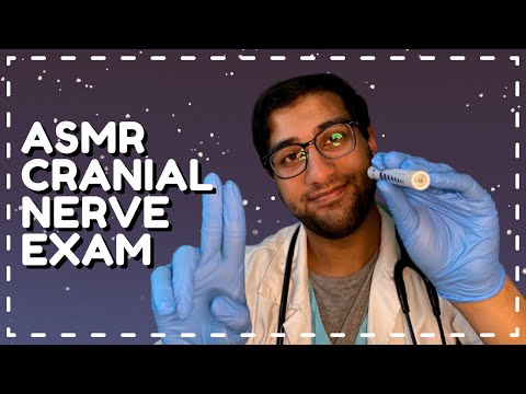 ASMR Cranial Nerve Examination Doctor Roleplay. Fast and Aggressive!