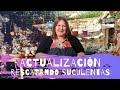 Actualización: Rescatando suculentas