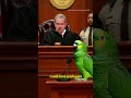 #funny #parrot #courtroom #comedyvideo #animalcomedy #viralvideo #funnyanimals #shorts #mememoment