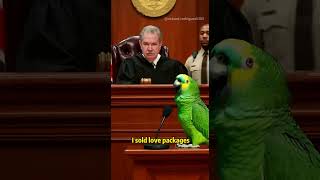 #funny #parrot #courtroom #comedyvideo #animalcomedy #viralvideo #funnyanimals #shorts #mememoment