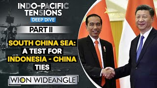 South China Sea Tensions: Why is Indonesia warming up to China | WION Wideangle