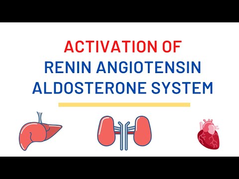 Video: Øker angiotensin i blodtrykket?