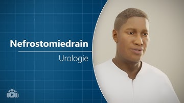 Wat is een nefrostomiedrain? - Urologie Uitgelegd