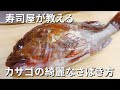 【カサゴの捌き方】寿司職人が教える刺身と寿司の作り方