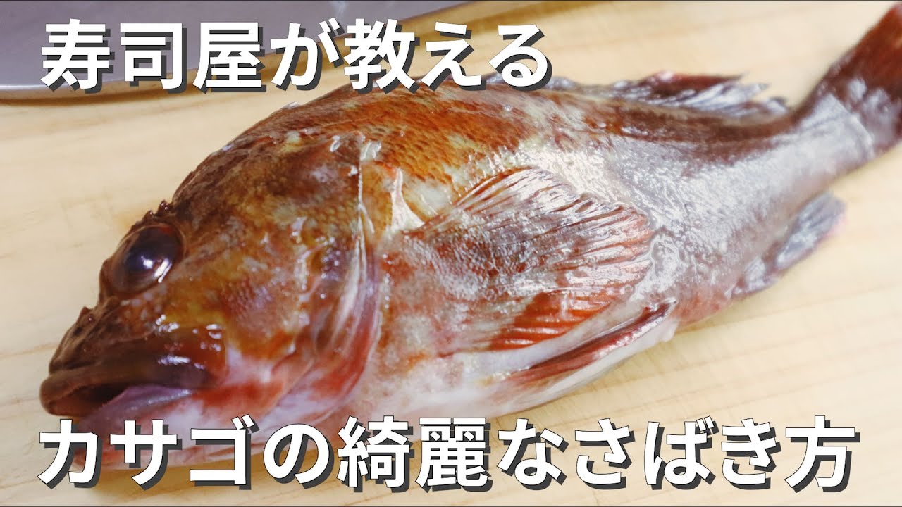 カサゴの捌き方 寿司職人が教える刺身と寿司の作り方 Youtube