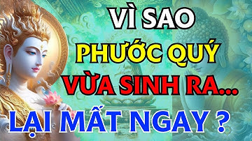 PHẬT DẠY: Càng Tranh Hơn Thua, Càng Tổn Phước Báu