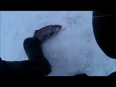 Ловля форели, Клёвое место( д.Савельево)