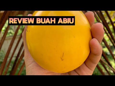Buah Asal Australia