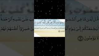 Surah Al Anam Ayat 12