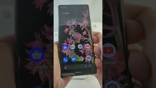 Google pixel 6 adb mdm