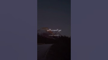 تلاوه خاشعه للقارئ وليد السعيدان #قران_كريم #حالات_واتس