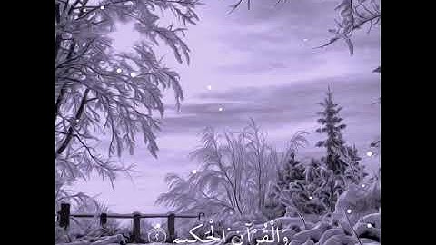 تلاوة خاشعة تريح النفس والطمأنينة من سورة يس