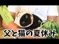 夏を満喫中の猫と七夕の短冊に込めた父の願い