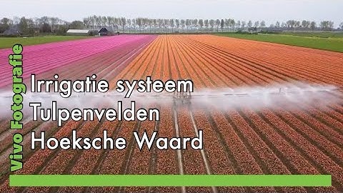 Irrigatie systeem Tulpenvelden Hoeksche Waard