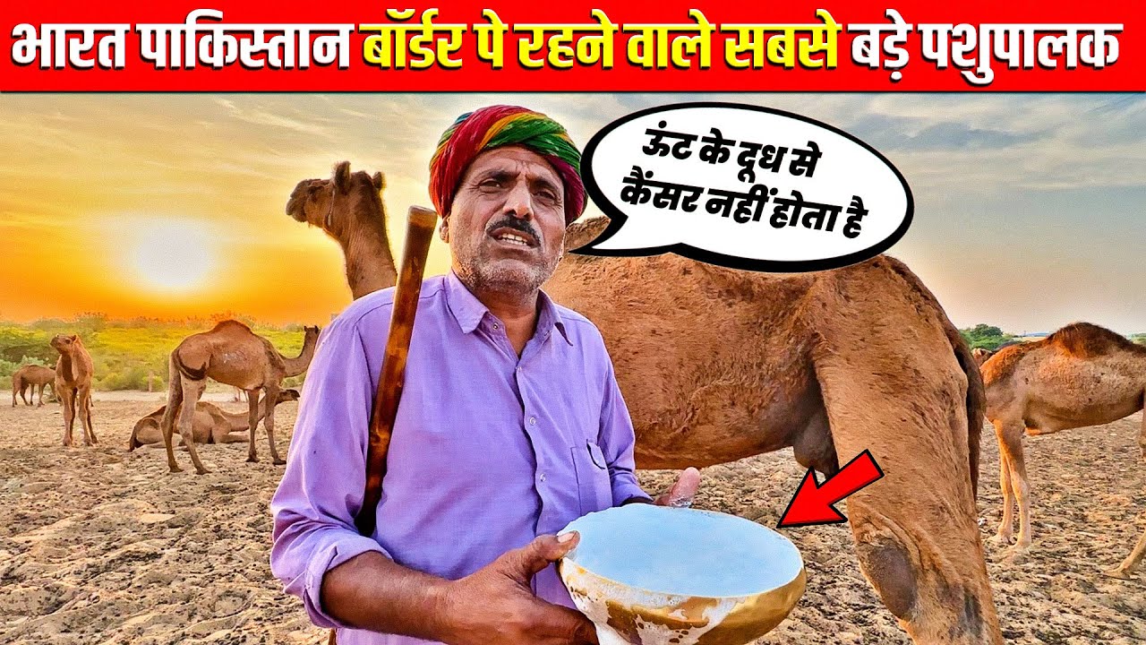 क्या ऊंटनी के दुध में कीड़े पड़ जाते है गेनाराम देवासी ने बताई सच्चाई | Camel Milk