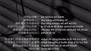 Wo Shi Zhen de Ai Guo Ni Pinyin Lyrics 我是真的愛國你歌詞 by Liu Zeng Tong 劉增瞳