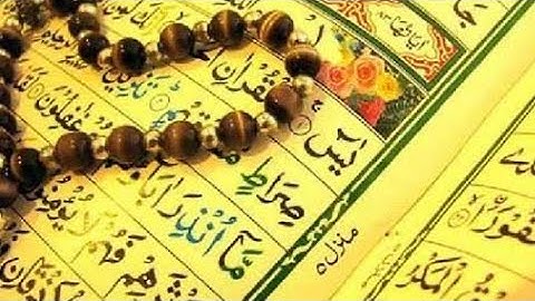 سورة يس القارىء ماجد الزامل