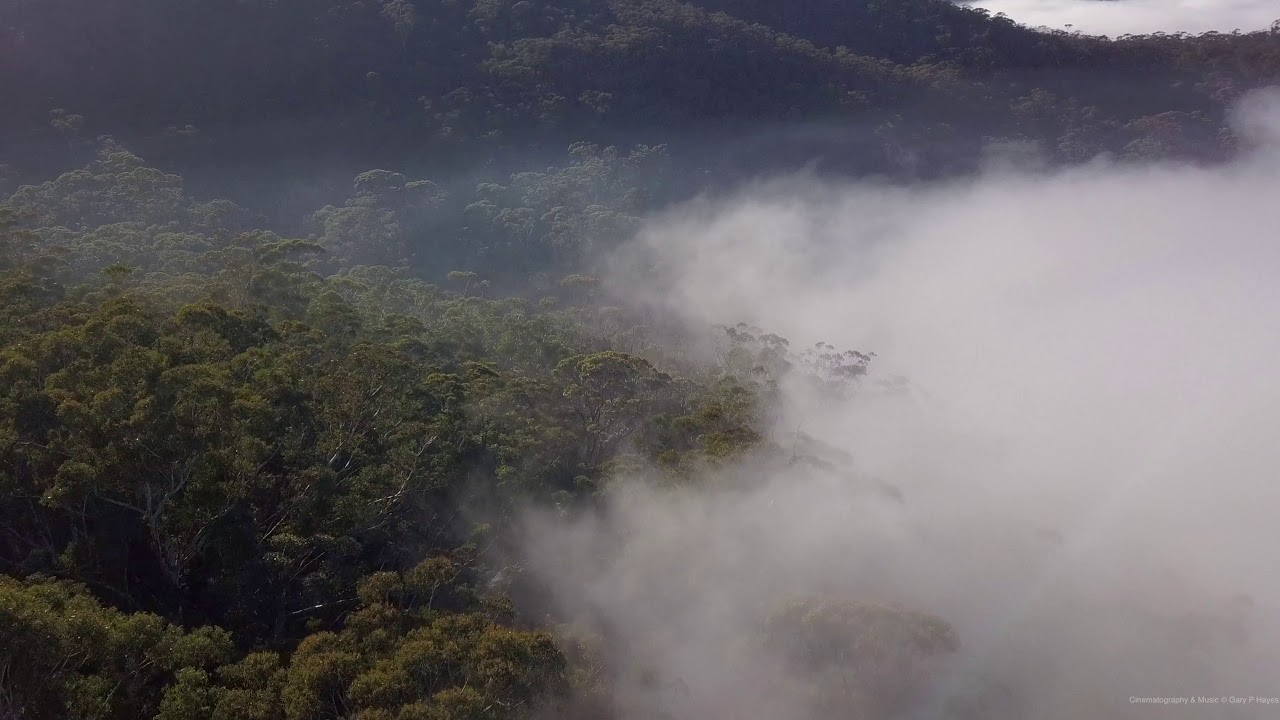 It's A Mystery: The STUNNING Fog of the 