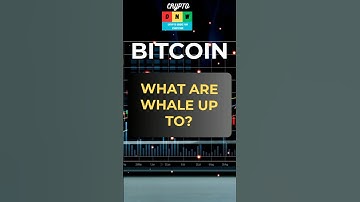 The Reaccumulation Phase  #cryptocurrency #altcointrading #bitcoin #investing #tradingalts