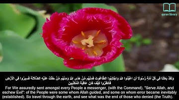 سورة النحل - ياسر الدوسري - مترجم | Surah An-Nahl - Yasser Aldosari - English subtitles