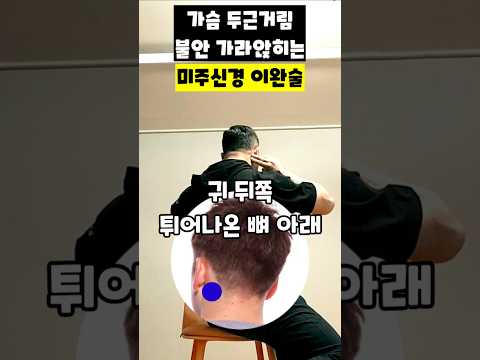 가슴 두근거림, 불안 가라앉히는 미주신경 이완술 ​#미주신경이완 #자율신경실조증 #가슴두근거림 #<strong>불안장애</strong> #소화잘되는법 #심신안정 #호흡법 #운동재활박사최영한