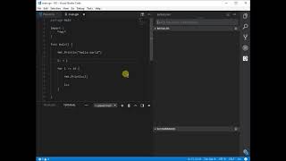 GO extension bug screenshot 2
