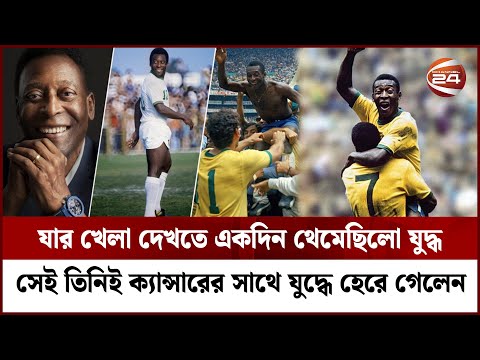 ভিডিও: বিশ্বের প্রাচীনতম মুকুট: 6,000 বছর আগে তাড়াহুড়ো করে লুকিয়ে রাখা ধনের রহস্য কী?