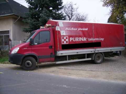 purina car