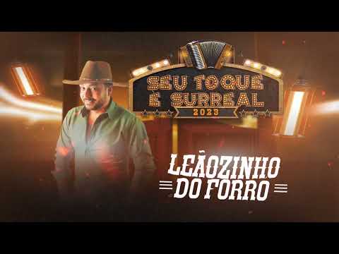 SEU TOQUE É SURREAL-LEÃOZINHO DO FORRÓ
