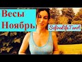 ВЕСЫ🌱НОЯБРЬ на ТАРО: новые горизонты в работе#весы#sefiralifetarot#любовь#финансы#таро#гороскоп