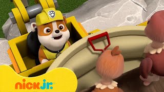 PAW Patrol | Die besten Bauernhoftierrettungen! mit Chase & Marshall | Nick Jr. Deutschland