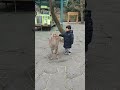 #cosplay #disney #cute #fun #funny #wesanderson #dance #halloween #animals #baby #zoo #boa #아기 teto
