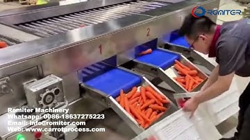 Automatic Carrot Size Grading Sorting Machine