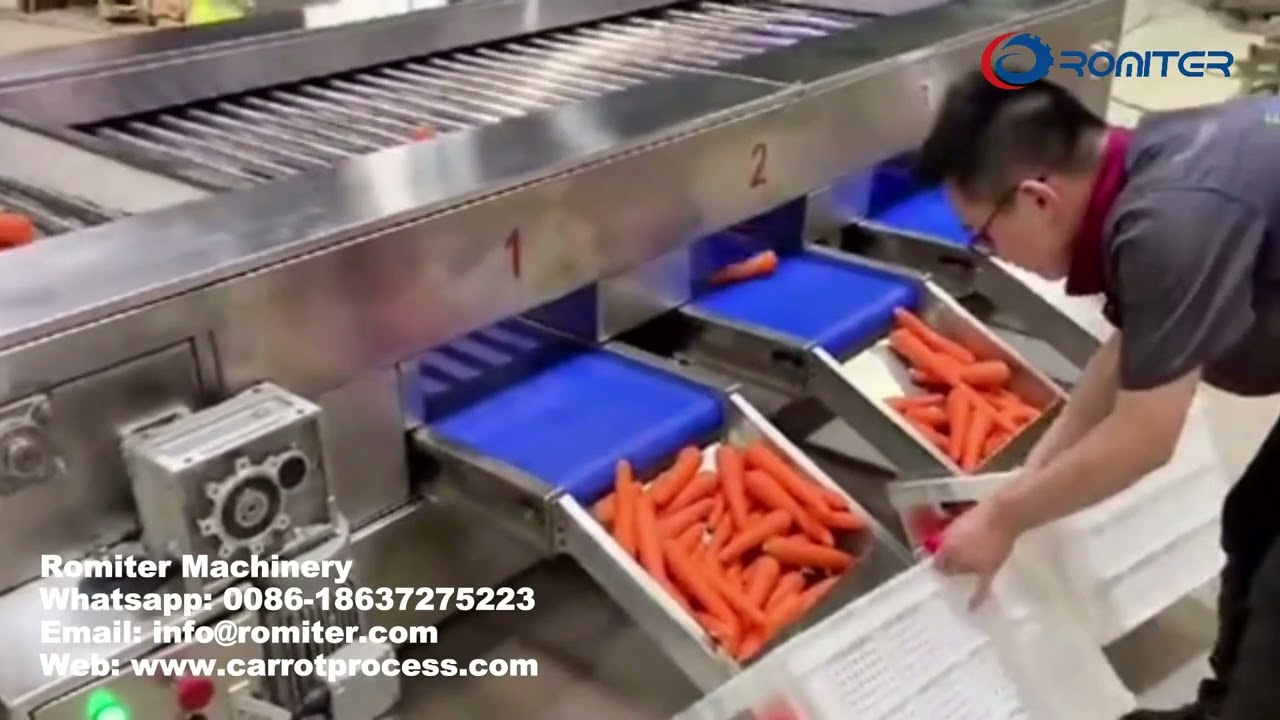 Automatic Carrot Size Grading Sorting Machine