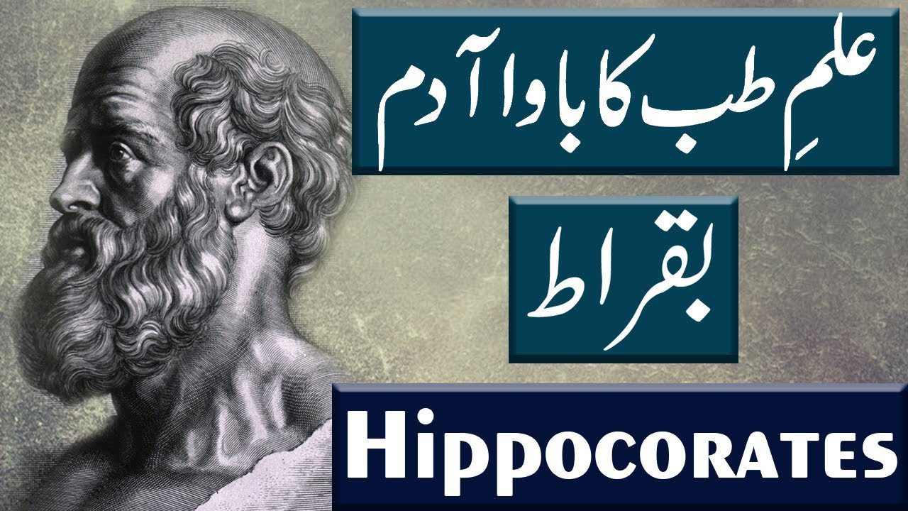 History Of Hippocrates Buqrat History & Life Biography Urdu/Hindi