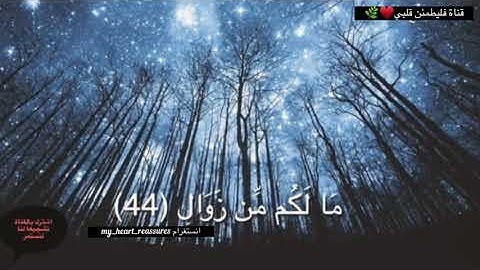 ولاتحسبن الله غافلاً عما يعمل  الظالمون || بصوت القارئ اسلام صبحي♥️🌿