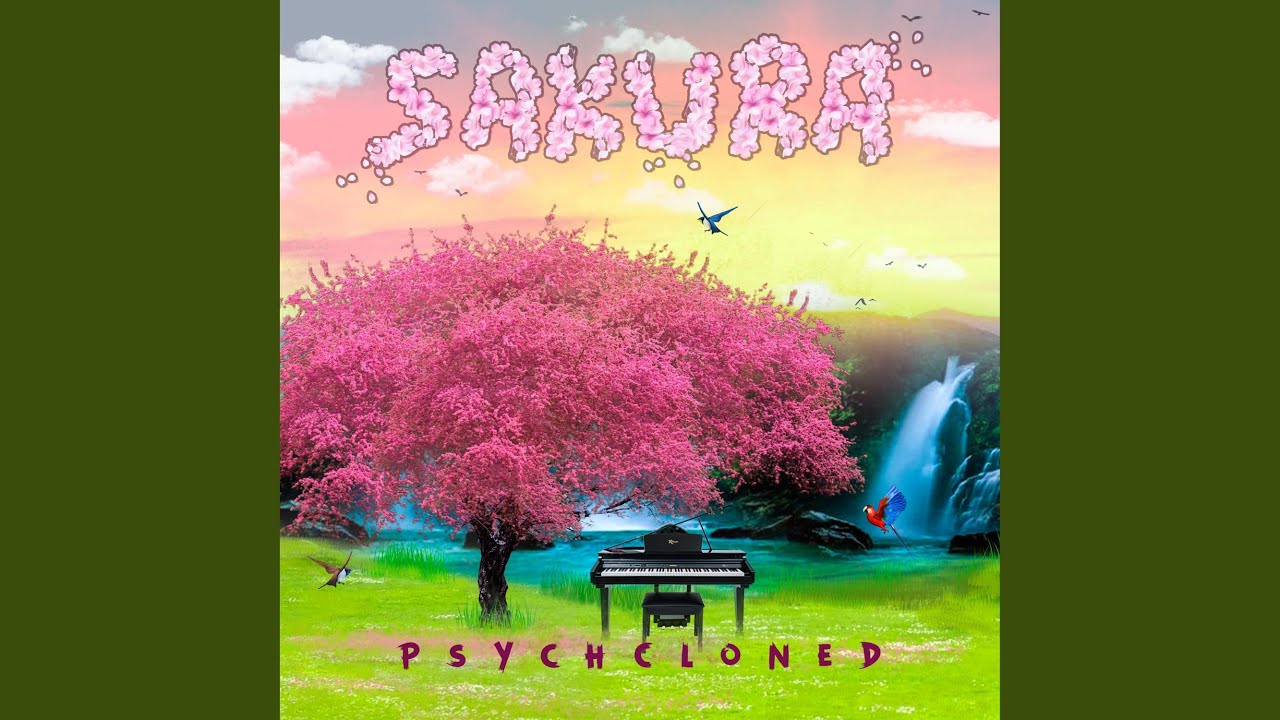 spring song 桜　sp psa9 Spring in April 4K – Early Spring 2026: Blooming Sakura Rivers