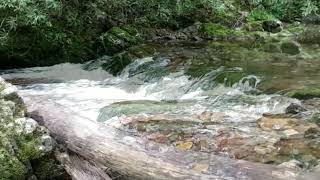 Laurel River Waterfall Sounds 2 Relaxing Piano Violin Music Beautiful Nature Rushing Water Sleep