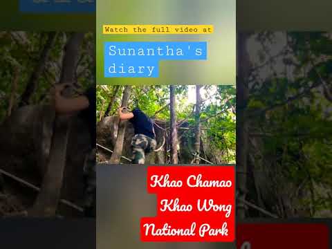 Khao​ Chamao​ Chao Wong​ National​ Park​ | nature in thailand | Thailand​ natural​Travel​ ​ ​