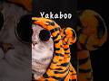 Yakaboo JOHN CARTER #shortvideo #music #comedyshorts #johncarter