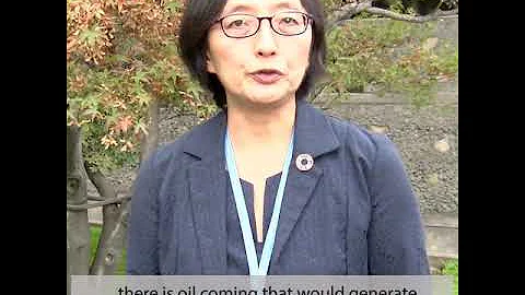 Interview with Mikiko Tanaka, UN Resident Coordina...