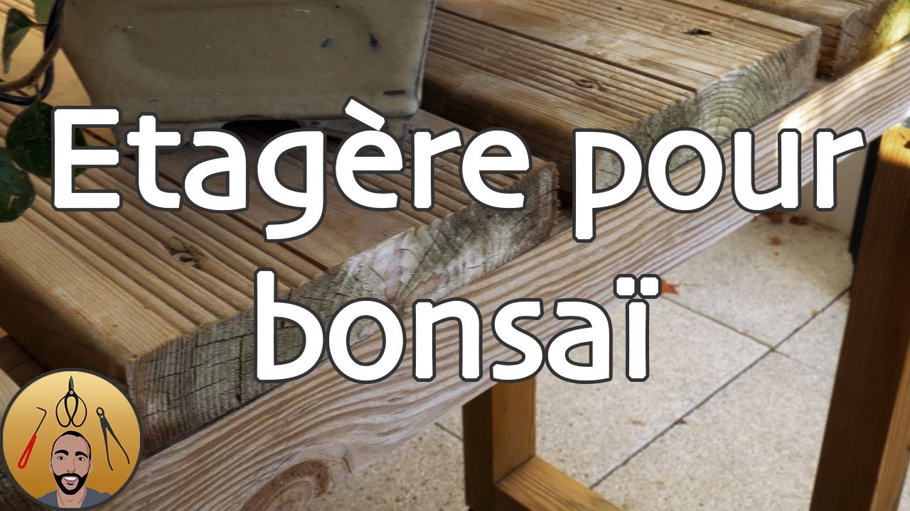 COMMENT FABRIQUER une ÉTAGÈRE pour BONSAÏ 🌳AFDB🌳